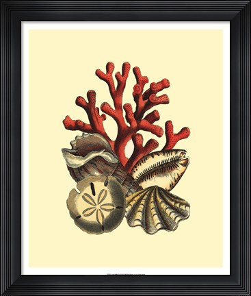 Framed Coral Medley II Print
