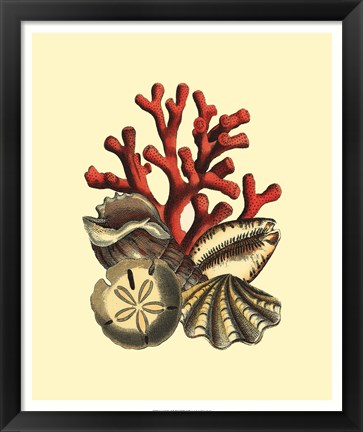 Framed Coral Medley II Print