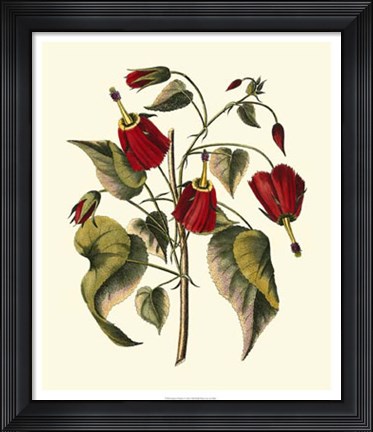 Framed Jenna&#39;s Flowers I Print
