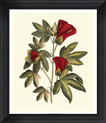 Framed Jenna&#39;s Flowers II Print
