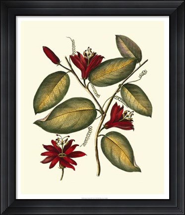 Framed Jenna&#39;s Flowers III Print