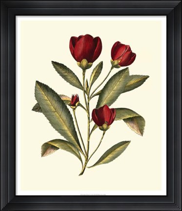 Framed Jenna&#39;s Flowers IV Print