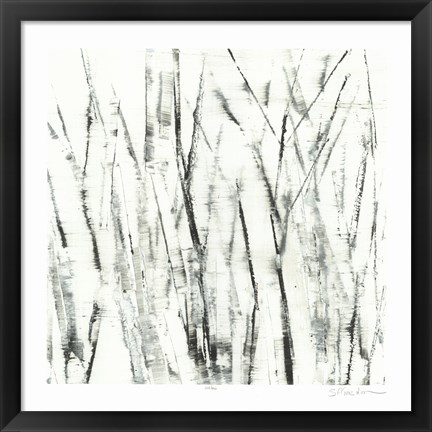 Framed Birches I Print