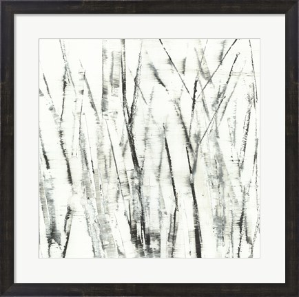 Framed Birches I Print
