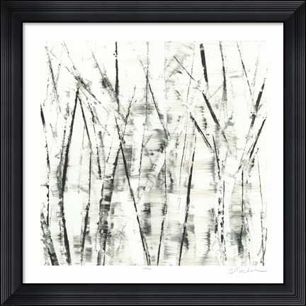 Framed Birches II Print
