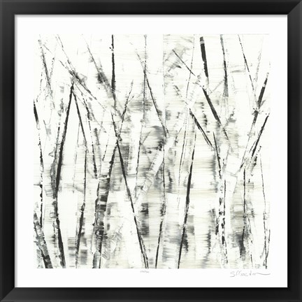 Framed Birches II Print