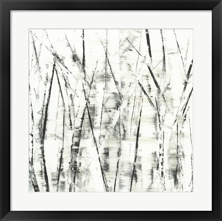 Framed Birches II Print