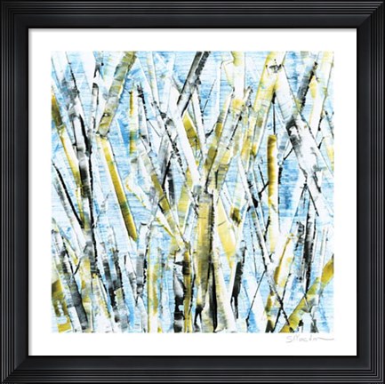 Framed Birches IV Print