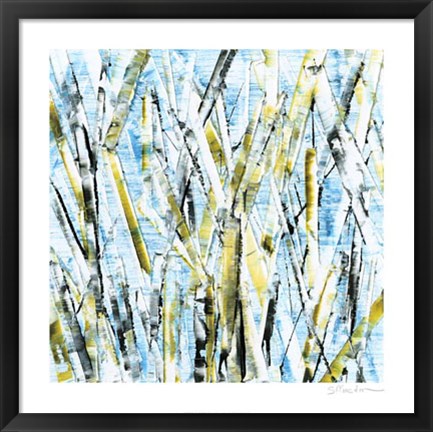 Framed Birches IV Print