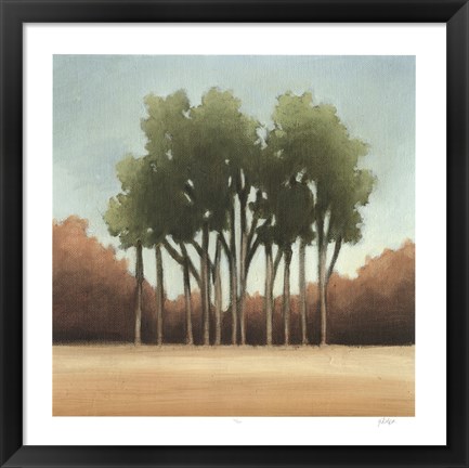 Framed Stand of Trees I Print