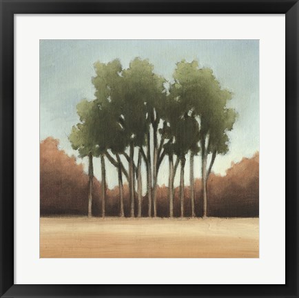 Framed Stand of Trees I Print