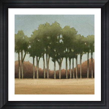 Framed Stand of Trees II Print