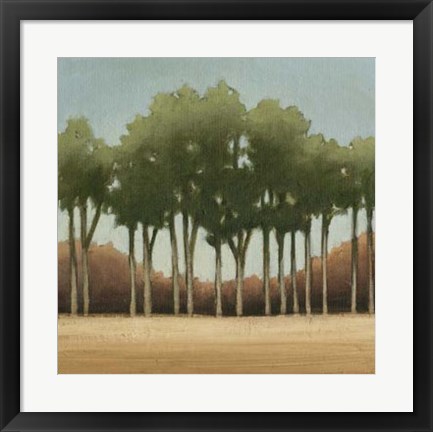 Framed Stand of Trees II Print