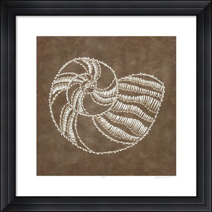 Framed Embroidered Shells II Print