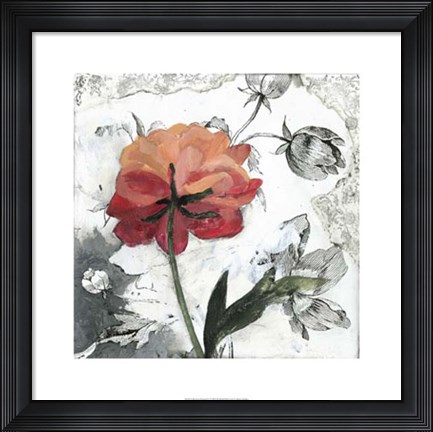 Framed Blossom Montage IV Print