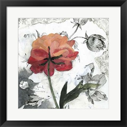Framed Blossom Montage IV Print