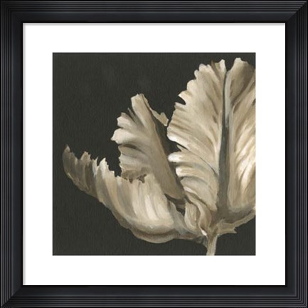 Framed Classical Blooms II Print