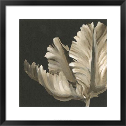 Framed Classical Blooms II Print