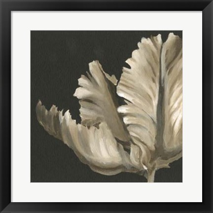 Framed Classical Blooms II Print