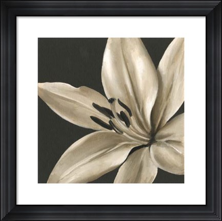 Framed Classical Blooms III Print