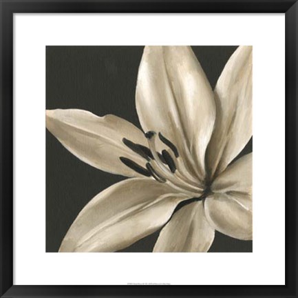 Framed Classical Blooms III Print