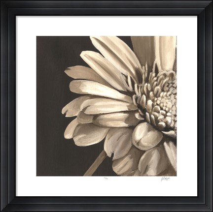 Framed Classical Blooms IV Print