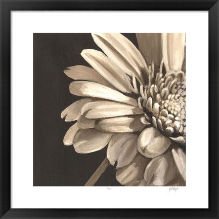 Framed Classical Blooms IV Print
