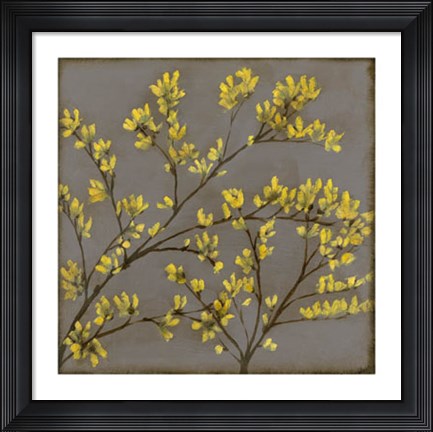 Framed Forsythia I Print