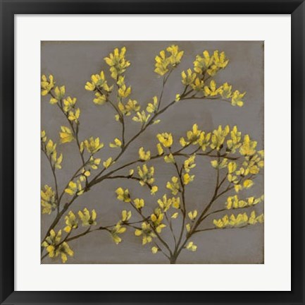 Framed Forsythia I Print