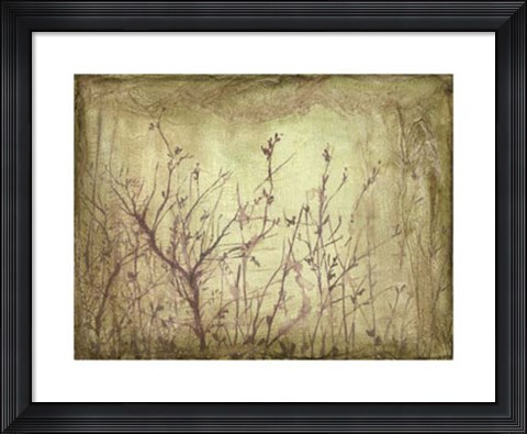 Framed Dancing Branches II Print