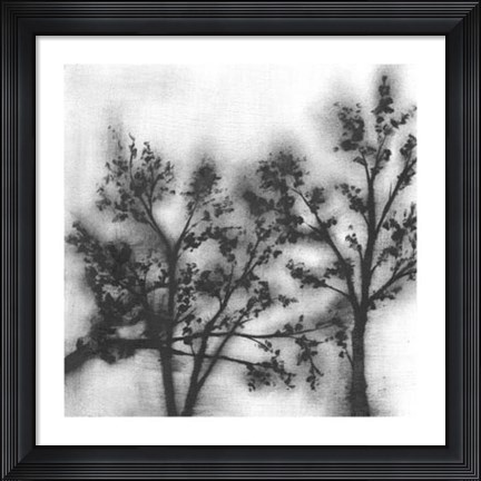 Framed Silvery Trees II Print