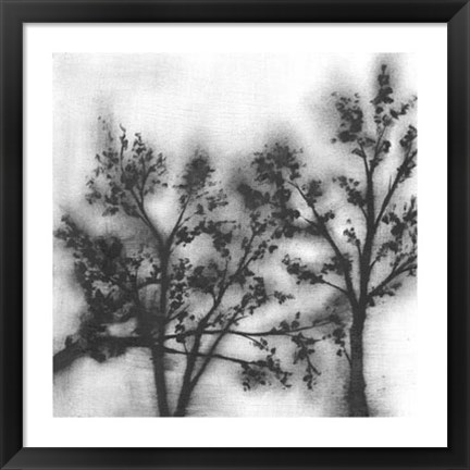 Framed Silvery Trees II Print