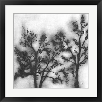 Framed Silvery Trees II Print