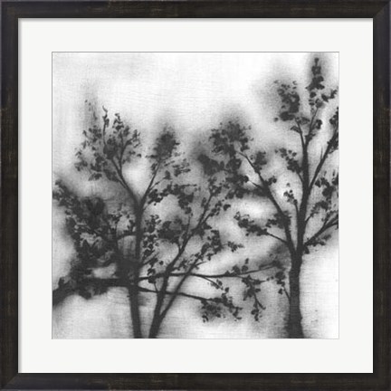 Framed Silvery Trees II Print