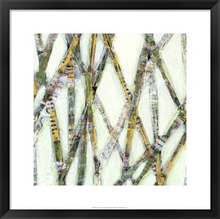 Framed Lemongrass I Print