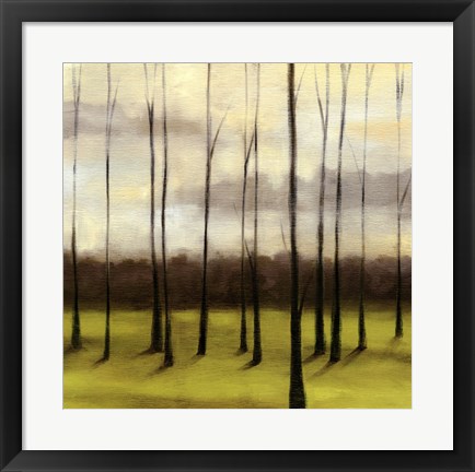 Framed Sunlit Treeline I Print