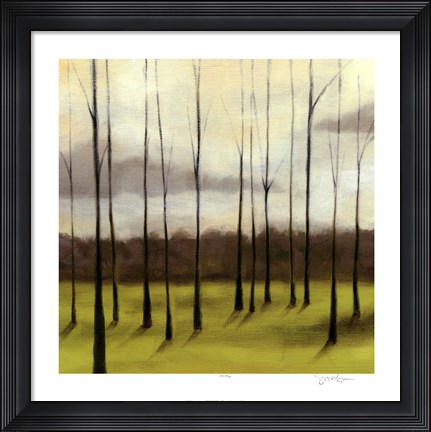 Framed Sunlit Treeline II Print