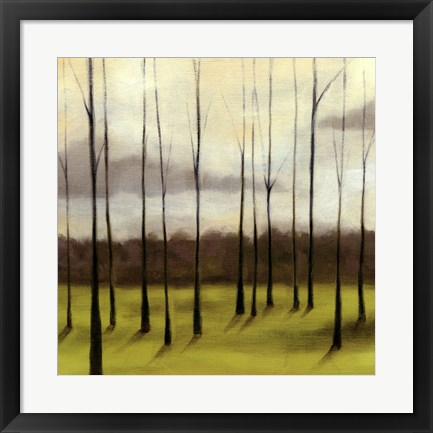 Framed Sunlit Treeline II Print