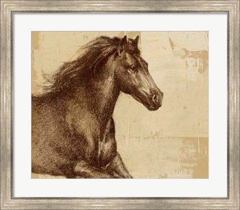 Framed Majestic Horse I Print