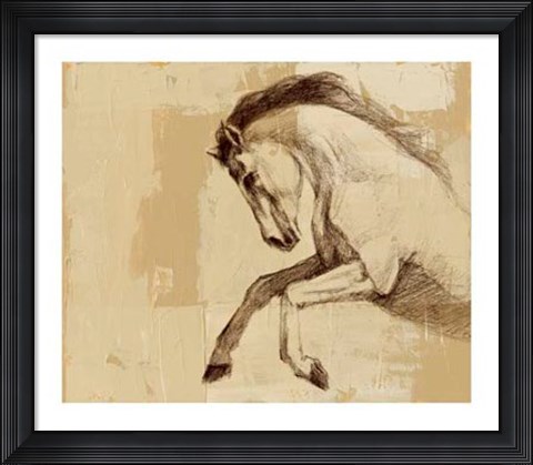 Framed Majestic Horse II Print