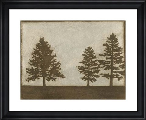 Framed Silver Pine I Print