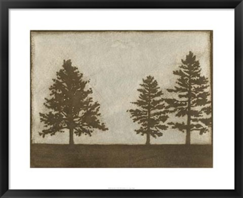 Framed Silver Pine I Print