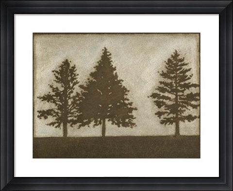 Framed Silver Pine II Print