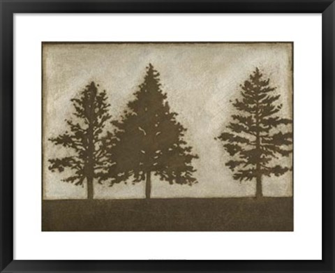 Framed Silver Pine II Print