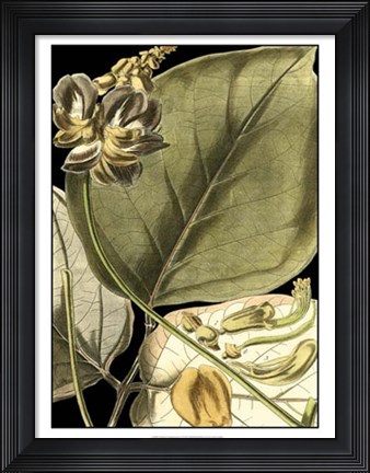 Framed Tranquil Tropical Leaves I Print
