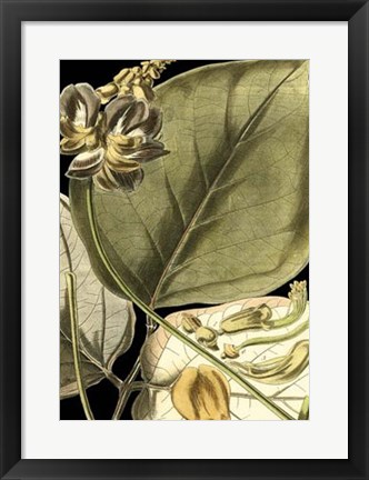 Framed Tranquil Tropical Leaves I Print