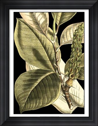 Framed Tranquil Tropical Leaves II Print