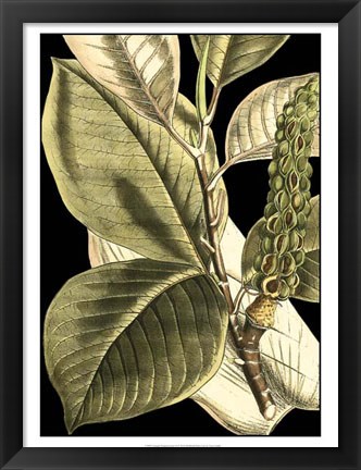 Framed Tranquil Tropical Leaves II Print