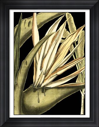 Framed Tranquil Tropical Leaves III Print
