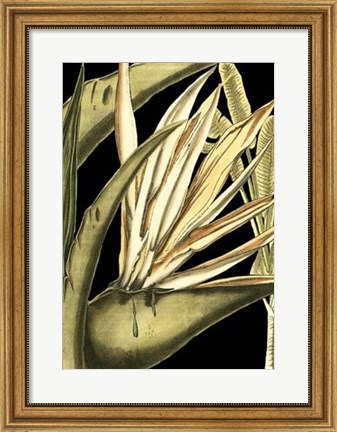 Framed Tranquil Tropical Leaves III Print